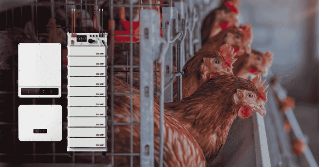 Chicken Farm Case Study BSL Battery HV Pack 10 & GoodWe ET-50kW hybrid inverter