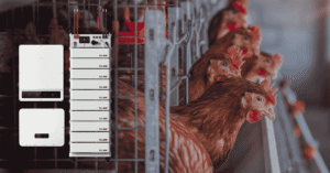 Chicken Farm Case Study BSL Battery HV Pack 10 & GoodWe ET-50kW hybrid inverter